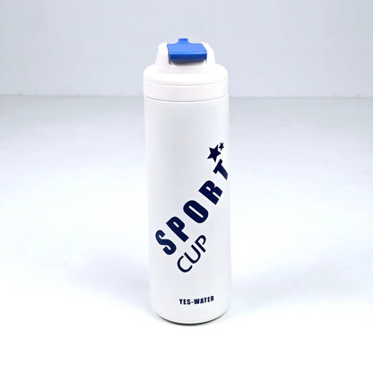 Stainless Steel Water Bottle With Straw